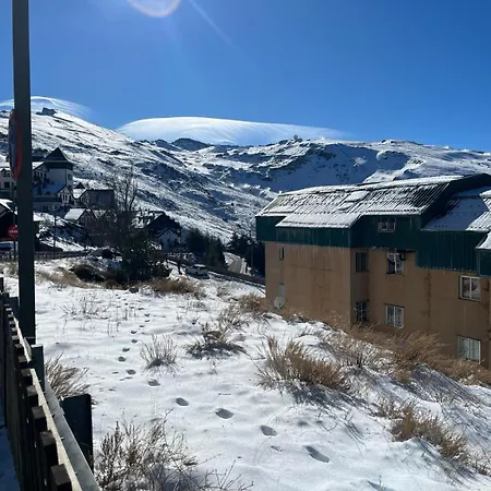 Biznaga Nevada